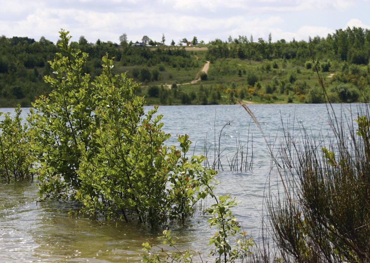 blausteinsee-eschweiler.jpg