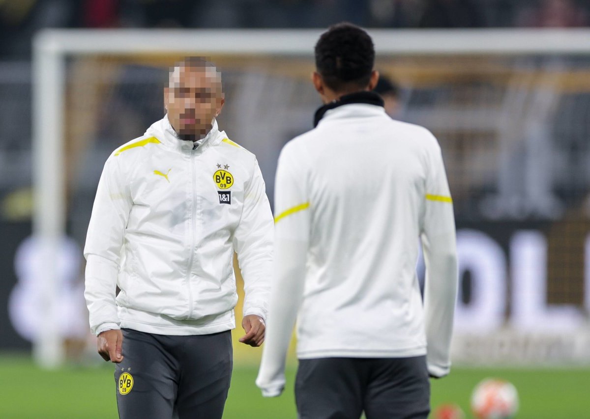 borussia-dortmund-donyell-malen.jpg