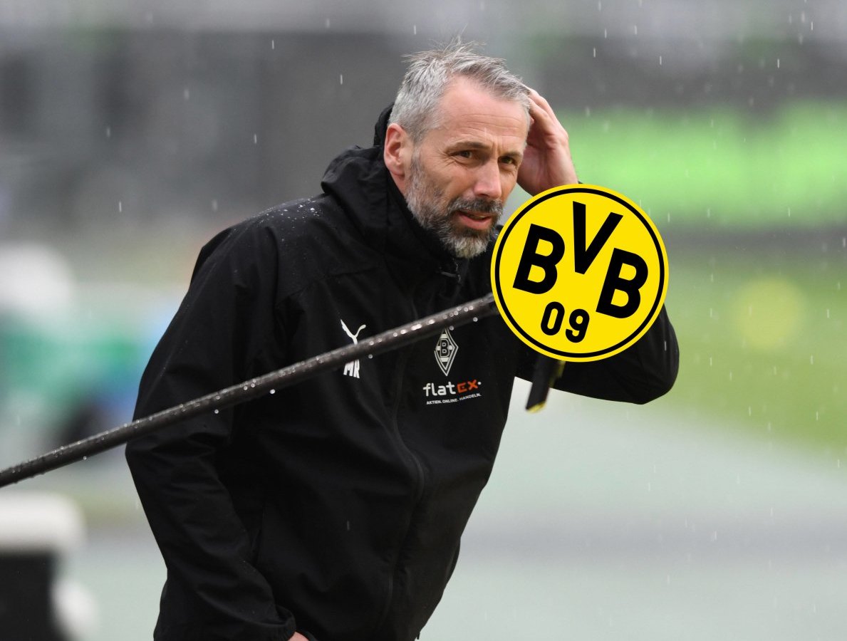 borussia-dortmund-rose.jpg