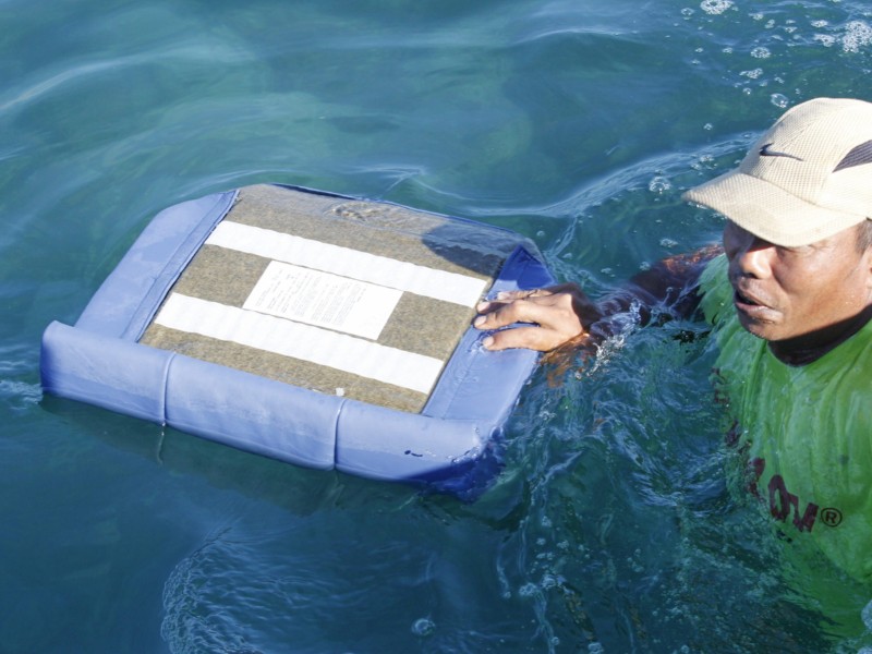 Einzelteile schwimmen noch im Meer und werden ...