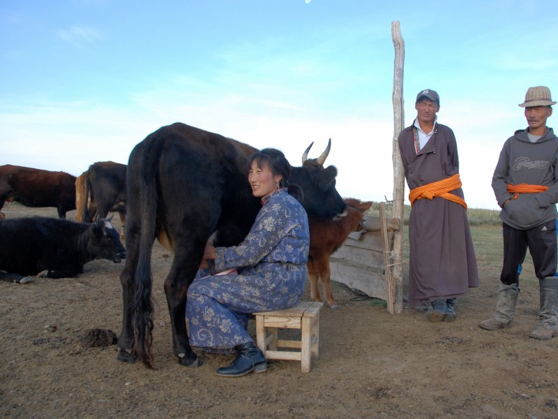 Zu Besuch bei mongolischen Nomaden