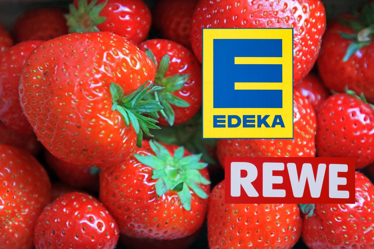 Edeka, Rewe und Co: Pestizid-Alarm bei Erdbeeren!