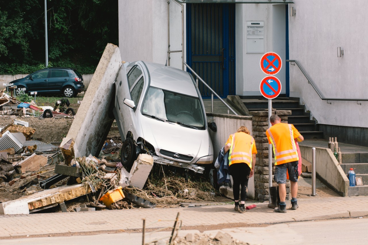 Viele Menschen können ihre Hunde nach der Flutkatastrophe nicht mehr versorgen. 