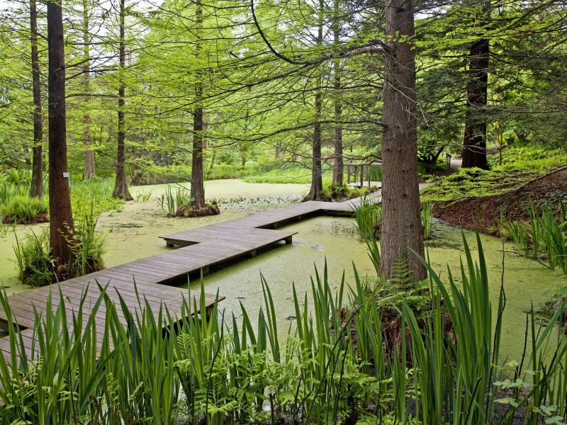 Pflanzen aus aller Welt findest du im botanischen Garten in Bochum. Ob du nun durch den Park läufst oder die thematisch angeordneten Gewächshäuser besuchst - es ist einfach schön hier. 