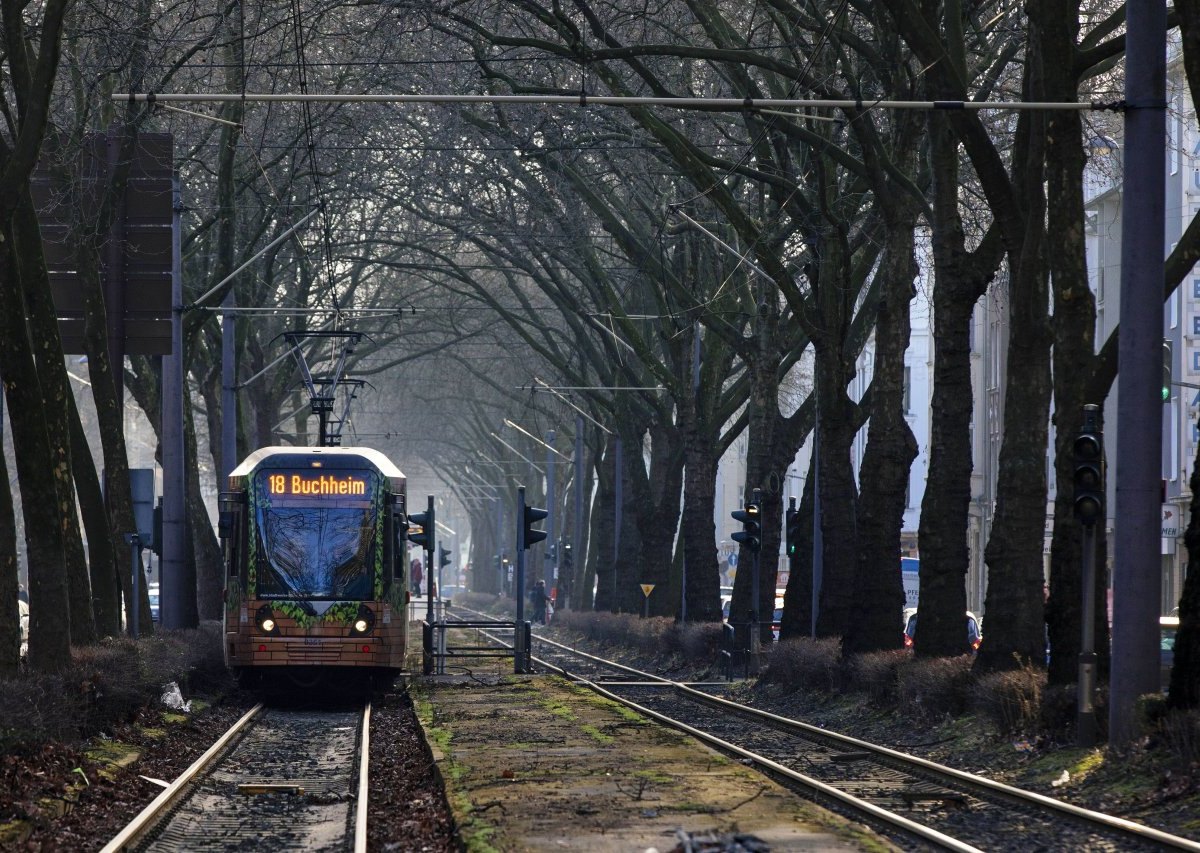 kvb-koeln-tram-strassenbahn-18.jpg