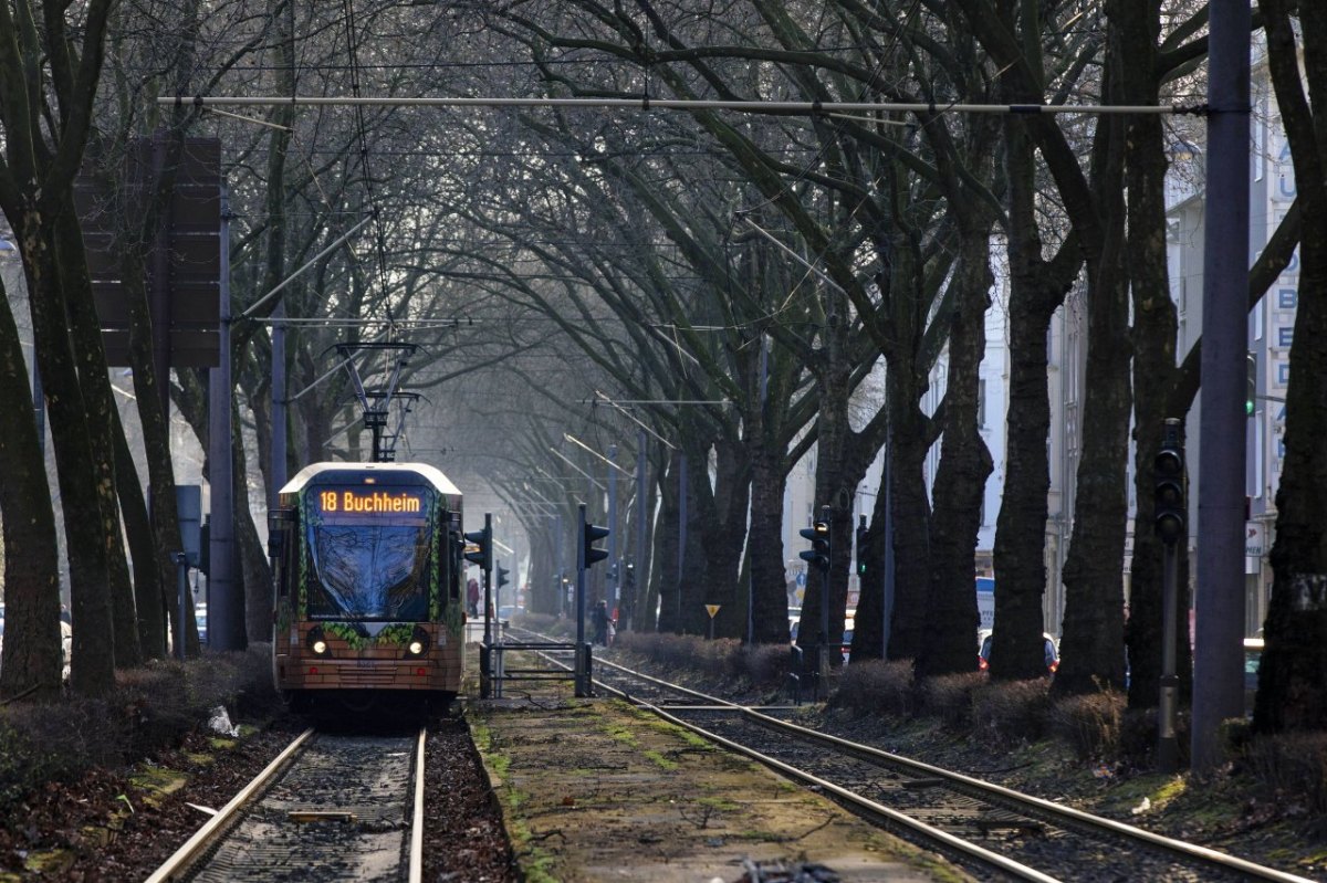 kvb-koeln-tram-strassenbahn-18.jpg