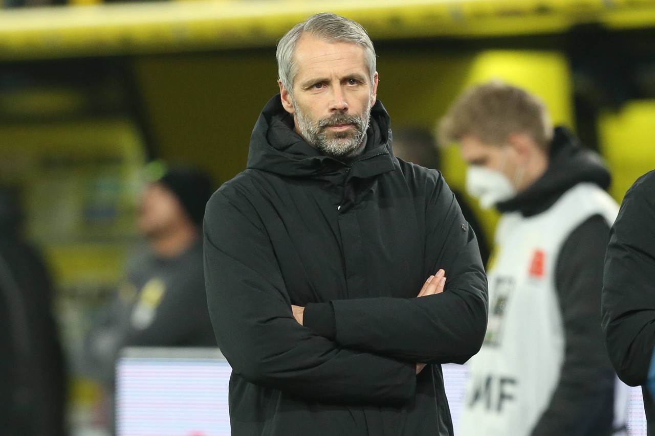 Sky-Experte Didi Hamann brachte BVB-Coach Marco Rose auf die Palme.