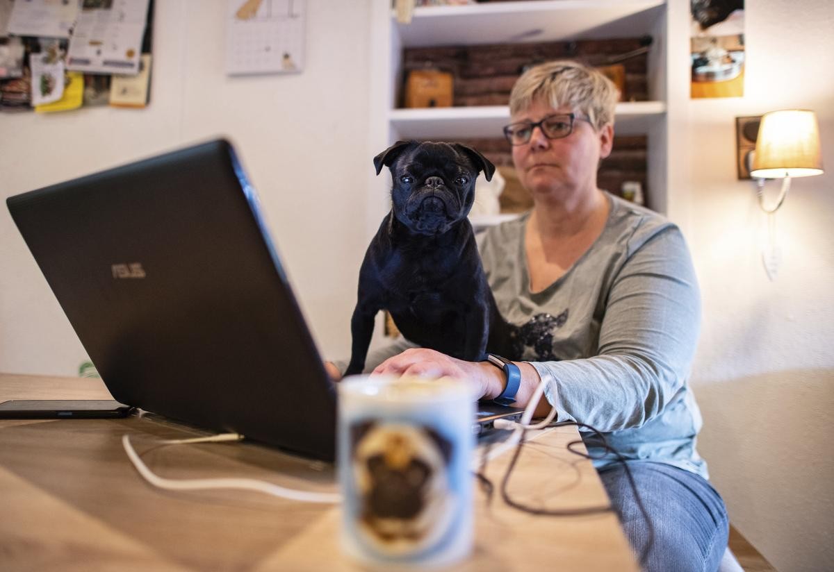 Hund bei Ebay gekauft: Eddas neues Frauchen zieht am Mittwoch vor Gericht.