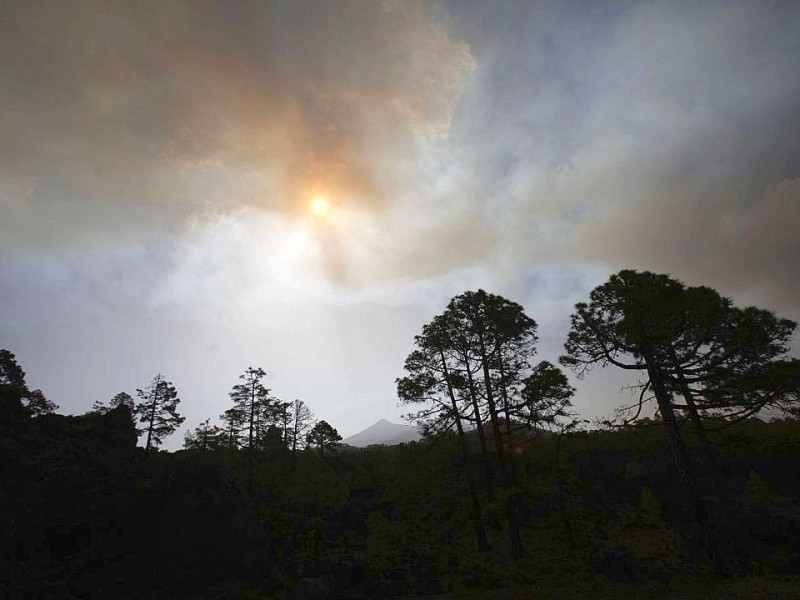 Waldbrand auf Teneriffa.