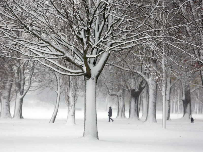 Auch in Düsseldorf schneite es am Freitag. Foto: Stefan Arend / WAZ Fotopool