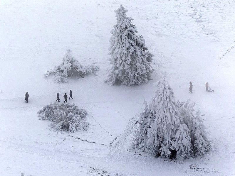 Spazieren auf dem Hochplateau des Kahlen Astens im Nebel.