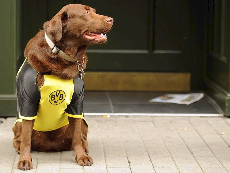 Tausende BVB-Fans haben sich schon Stunden vor Anpfiff die besten Plätze bei den Public Viewings ni der Innenstadt von Dortmund gesichert.