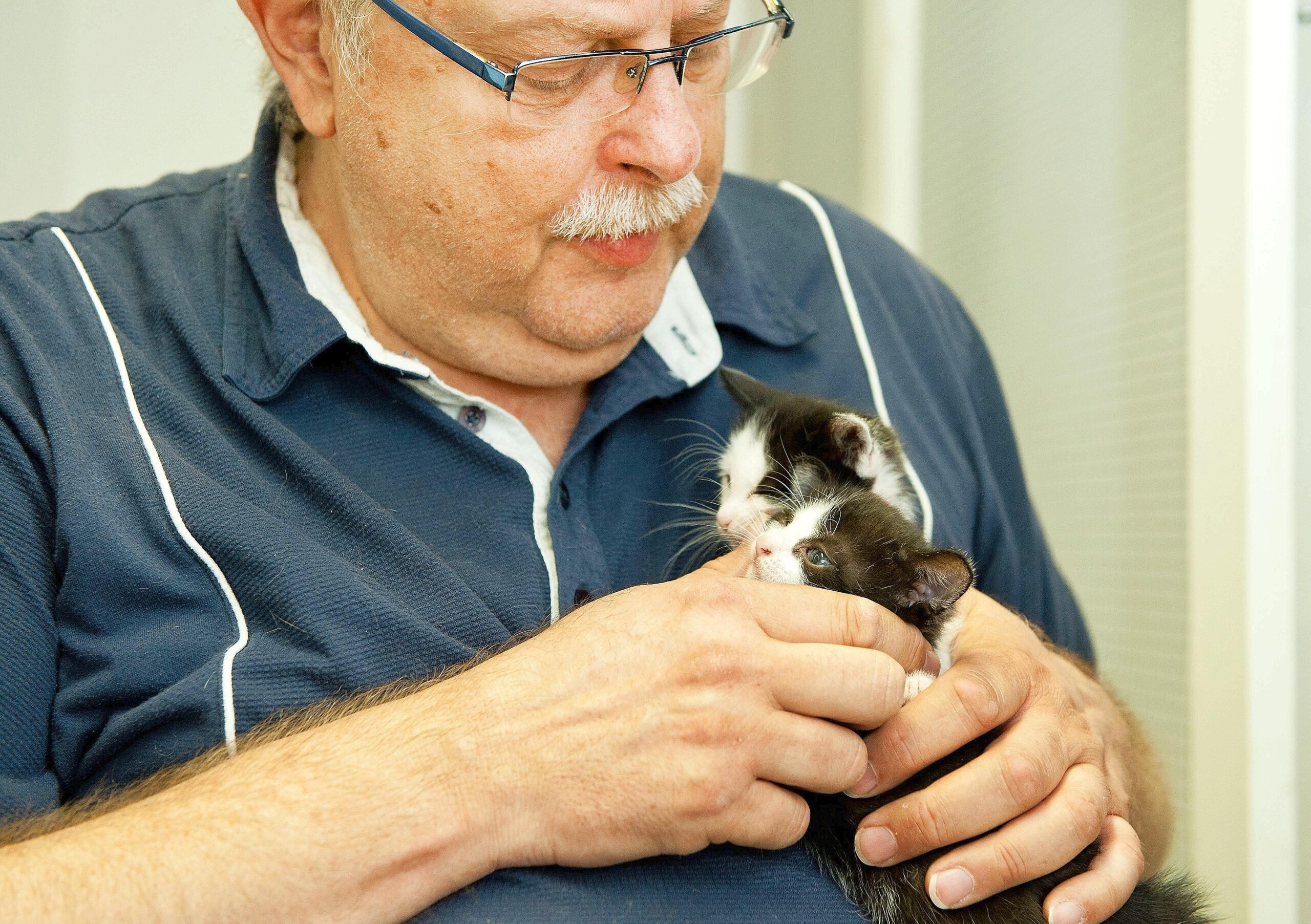 Am Freitag, den 10.06.2011hält Gerhard Kipper zwei junge Katzen auf dem Arm. Er ist Geschäftsführer des Vereines Tiere in Not e. V. Bochum und hat eine Katzenpflegestation in seinem Wohnhaus an der Castroper Straße. Foto: Olaf Ziegler / WAZ FotoPool