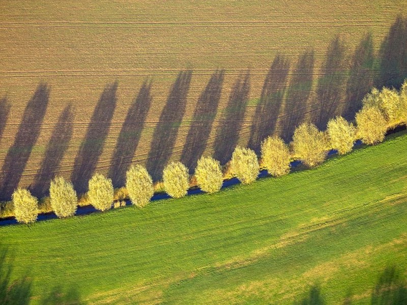 Herbstimpressionen aus Duisburg.