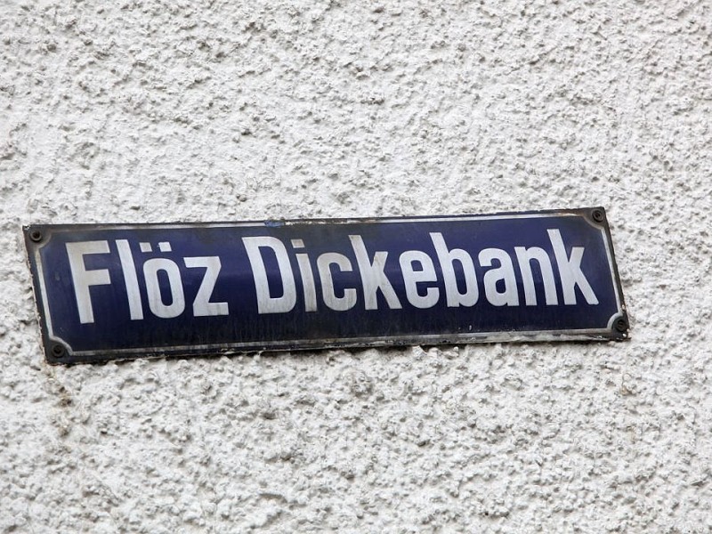 Die Zechensiedlung Flöz Dickebank in Gelsenkirchen-Ückendorf im Oktober 2013.