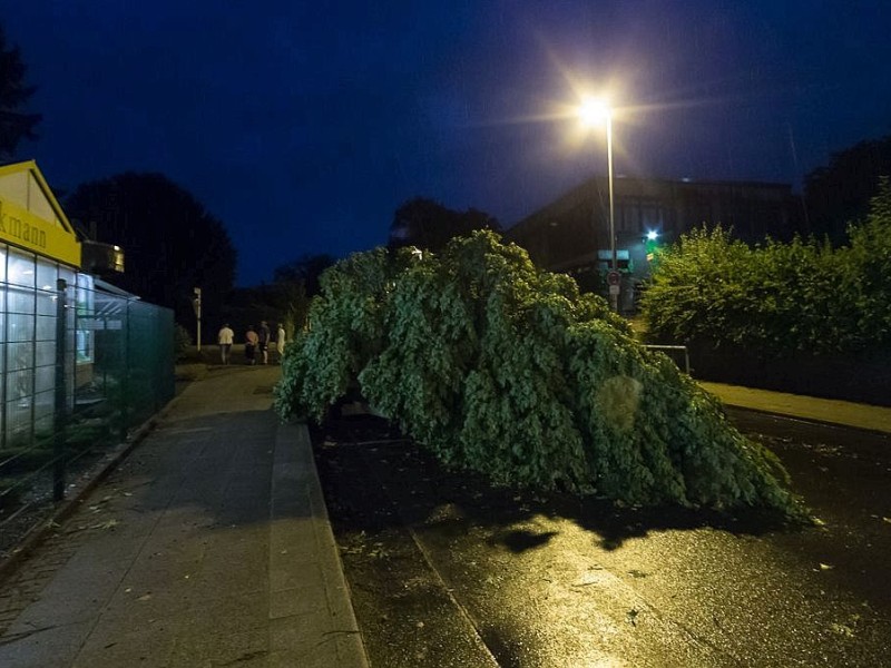 Essen Kettwig - Unwetter über Kettwig - eins der schwersten seit Kyrill - allein in der Brederbachstraße und Strängerstraße wurde vier Bäume abgeknickt - Foto: Reiner Worm / WAZ FotoPool