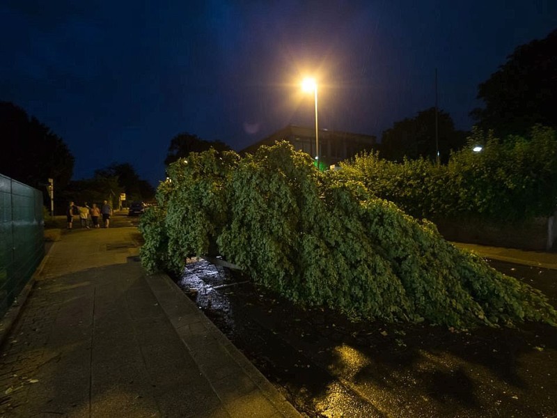 Essen Kettwig - Unwetter über Kettwig - eins der schwersten seit Kyrill - allein in der Brederbachstraße und Strängerstraße wurde vier Bäume abgeknickt - Foto: Reiner Worm / WAZ FotoPool