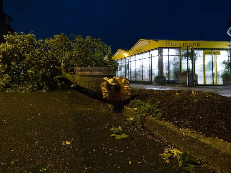 Essen Kettwig - Unwetter über Kettwig - eins der schwersten seit Kyrill - allein in der Brederbachstraße und Strängerstraße wurde vier Bäume abgeknickt - Foto: Reiner Worm / WAZ FotoPool