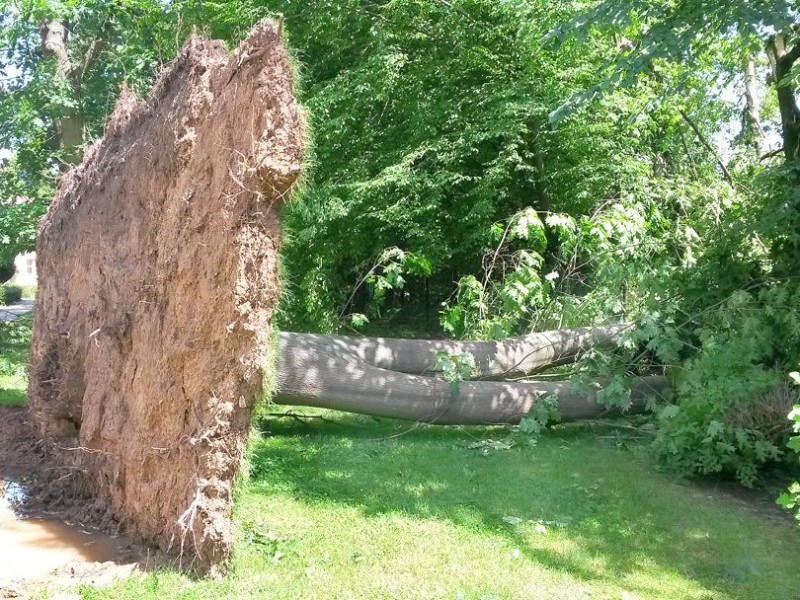 Unwetter Essen Leserfotos Fotos aus Kettwig Hallo WAZ Redaktion, die Fotos 08-11 wurden auf der Graf-Zeppelinstrasse in Kettwig gemacht es gab keine Verletzte. Die Bilder 19-22 sind auf der Nahestrasse entstanden, der Baum ist komplett entwurzelt und kippte auf die Strasse Unterlehberg und begrub dabei ein Fahrzeug. Viele Grüße Kosmas Lazaridis