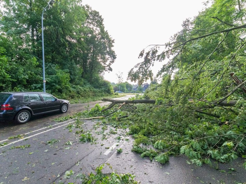 Essen Kettwig - Unwetter am Pfingstmontag - Sturmschäden - Mendener Straße - Foto: Reiner Worm / WAZ FotoPool