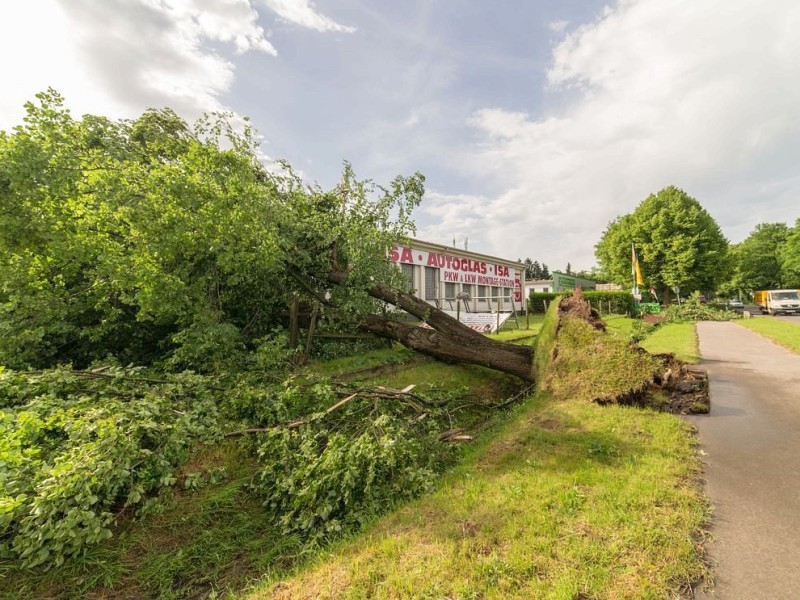 Essen Kettwig - Unwetter am Pfingstmontag - Sturmschäden - Meisenburgstraße - Foto: Reiner Worm / WAZ FotoPool