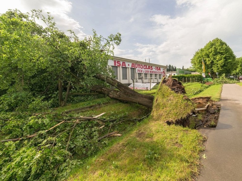 Essen Kettwig - Unwetter am Pfingstmontag - Sturmschäden - Meisenburgstraße - Foto: Reiner Worm / WAZ FotoPool