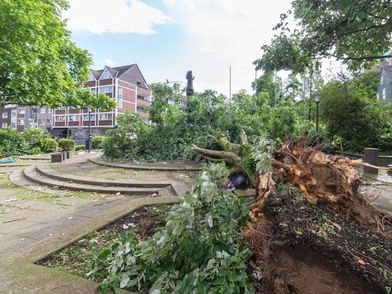 Essen Werden - Unwetter am Pfingstmontag - schwere Sturmschäden in Essen - Werden - Denkmal am Rathaus - Foto: Reiner Worm / WAZ FotoPool