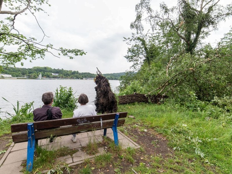 Essen Werden - Unwetter am Pfingstmontag - schwere Sturmschäden in Essen - Werden - Hardenbergufer - Radtouristen - Foto: Reiner Worm / WAZ FotoPool