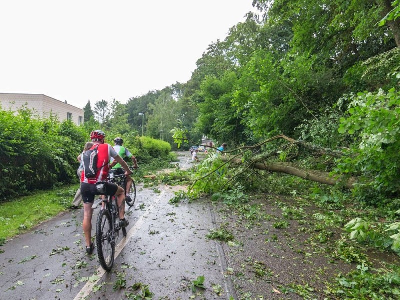 Essen Werden - Unwetter am Pfingstmontag - schwere Sturmschäden in Essen - Werden - Hardenbergufer - Radtouristen - Foto: Reiner Worm / WAZ FotoPool