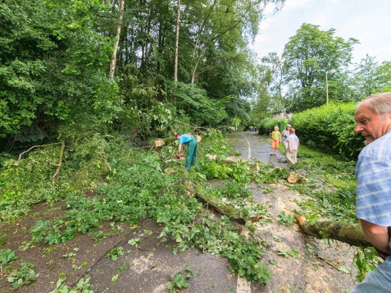 Essen Werden - Unwetter am Pfingstmontag - schwere Sturmschäden in Essen - Werden - Hardenbergufer - Radtouristen - Foto: Reiner Worm / WAZ FotoPool