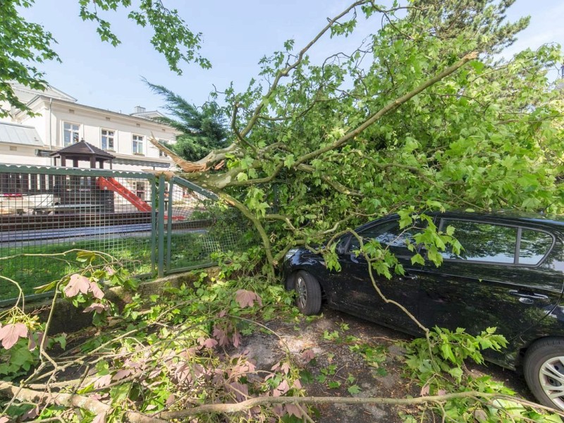 Essen Kettwig - Unwetter am Pfingstmontag - Sturmschäden - Kindergarten Ruhrstraße - Foto: Reiner Worm / WAZ FotoPool