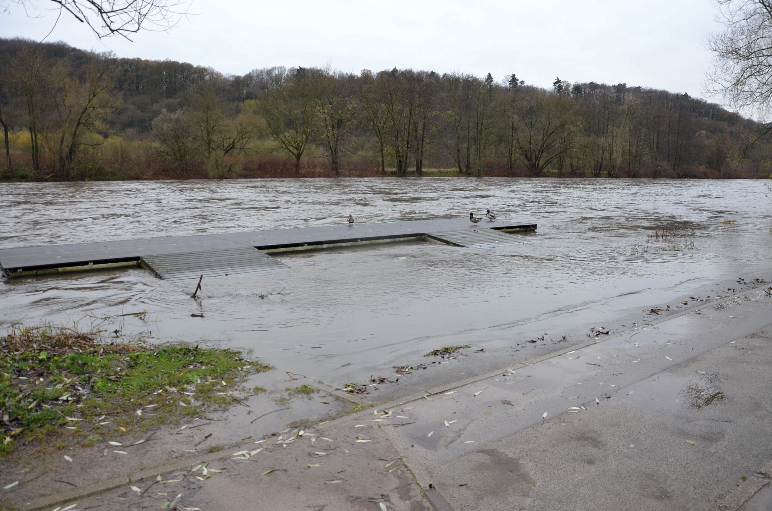 Hochwasser an der Ruhr in Herdecke.