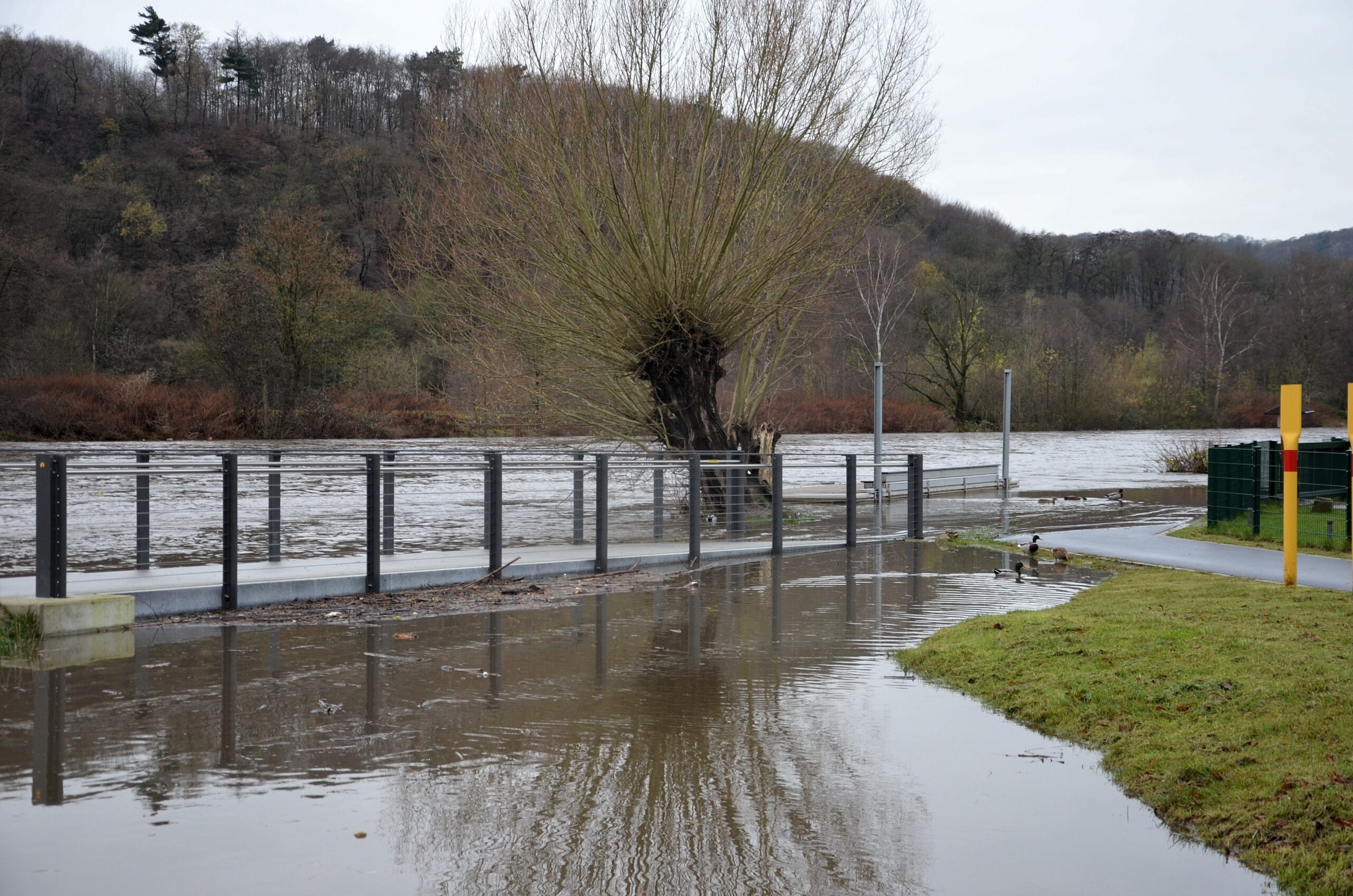 Hochwasser an der Ruhr in Herdecke.