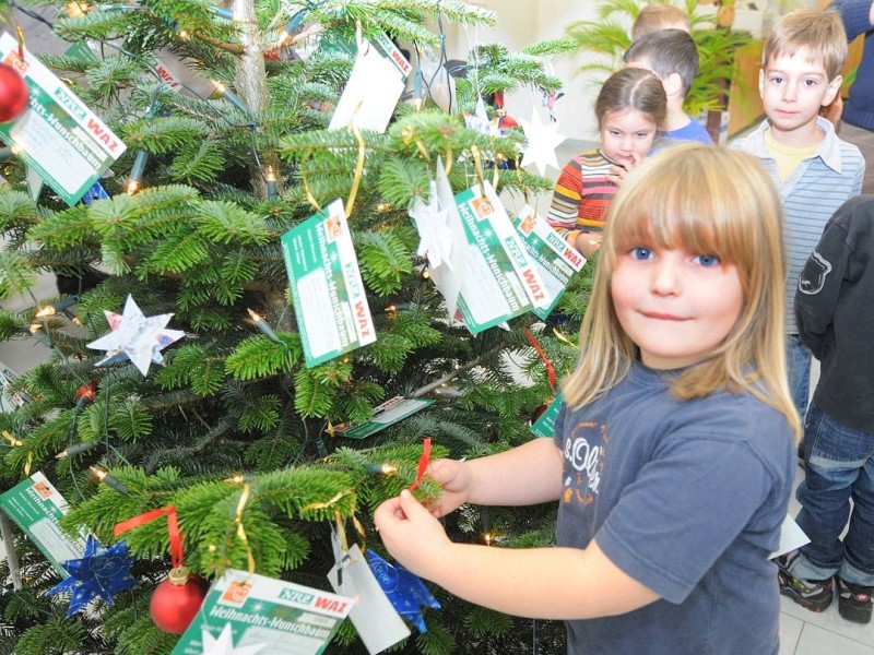 Am Freitag,den 18.11.2011Wunsch-Weihnachtsbaum in MoersAktion:Kindergarten :Städtische  Einrichtung für Kinder ,Orchideenstraße  in Kapellen,schmücken den Wunschweihnachtabaum  in der Versicherungsagentur  Continentale Pauels inn Kapellen.Foto: Gisela Weißkopf / WAZFotoPool