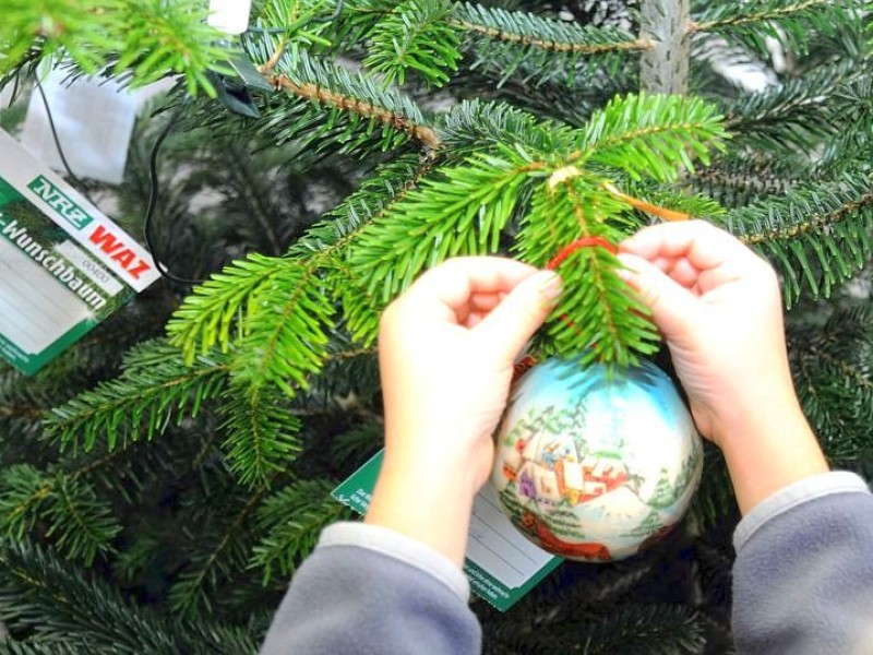 Am freitag,den 18.11.2011Aktion:Wunsch-Weihnachtsbaum kath.Kindergarten  St.Josef am Kastell schmücken den Wunsch-Weihnachtsbaum  im Sozialkaufhaus,, Stoffwechsel " in Moers.Foto: Gisela Weißkopf / WAZFotoPool