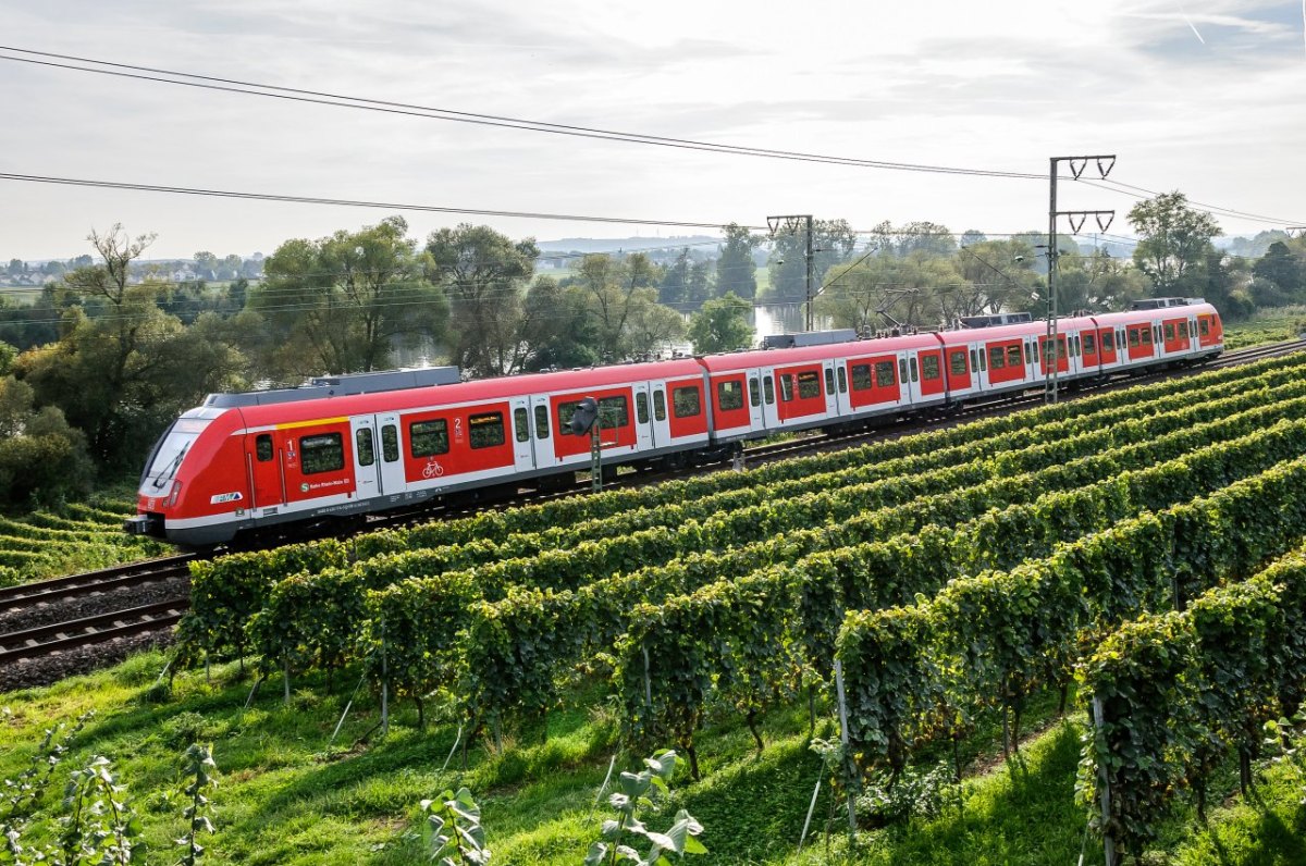 s-Bahn S1 RMV.jpg