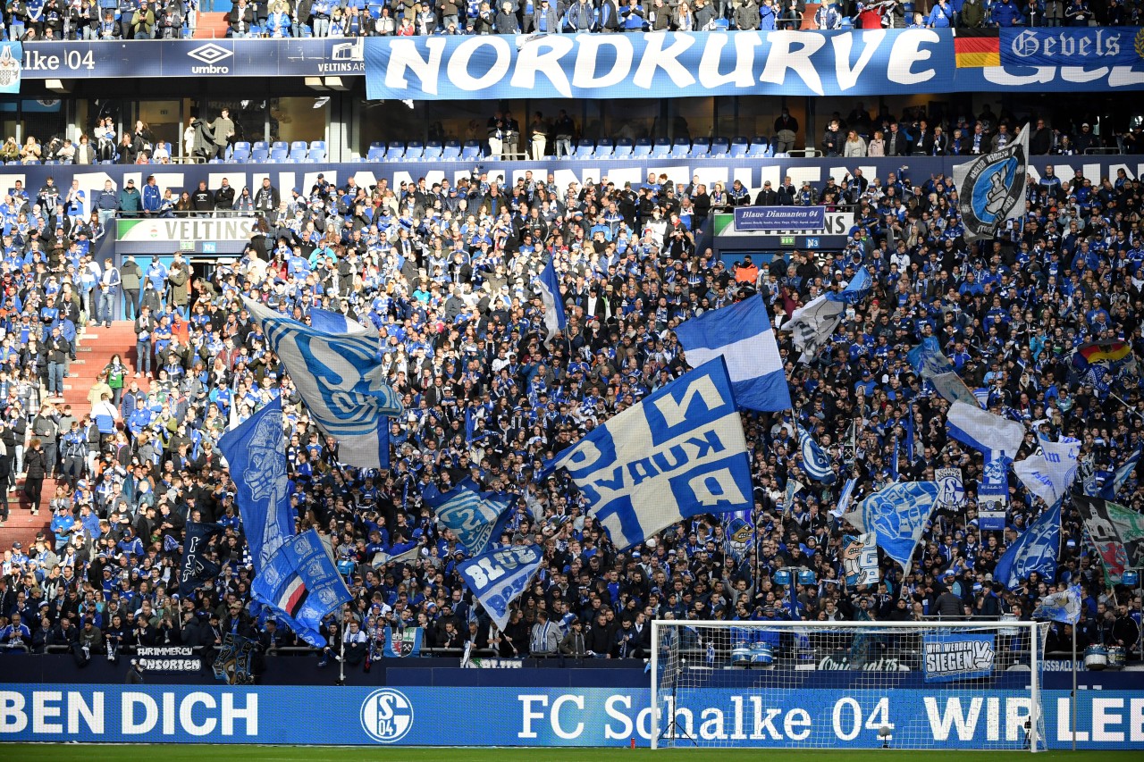 Der FC Schalke 04 hat seine Fans weiter im Rücken.
