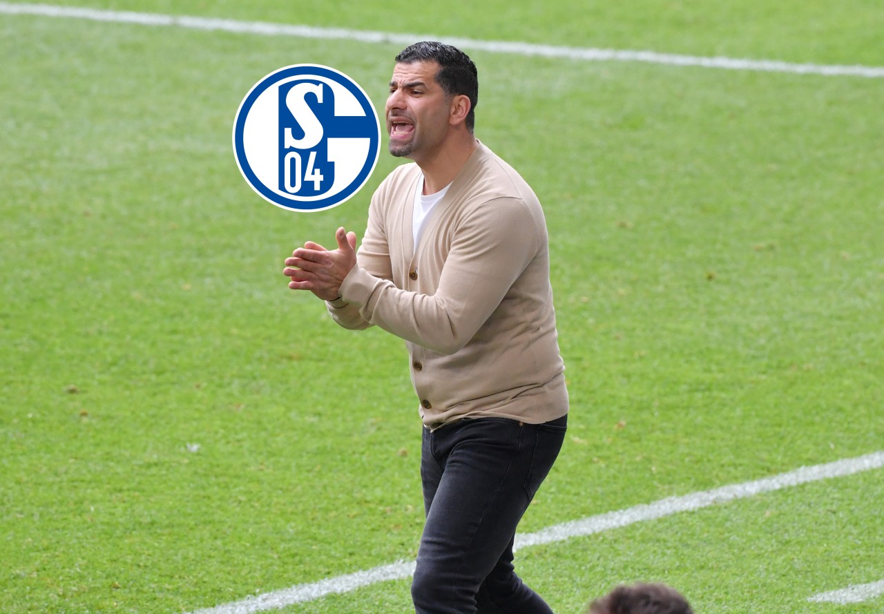 FC Schalke 04: Trainer Dimitrios Grammozis hat genug.