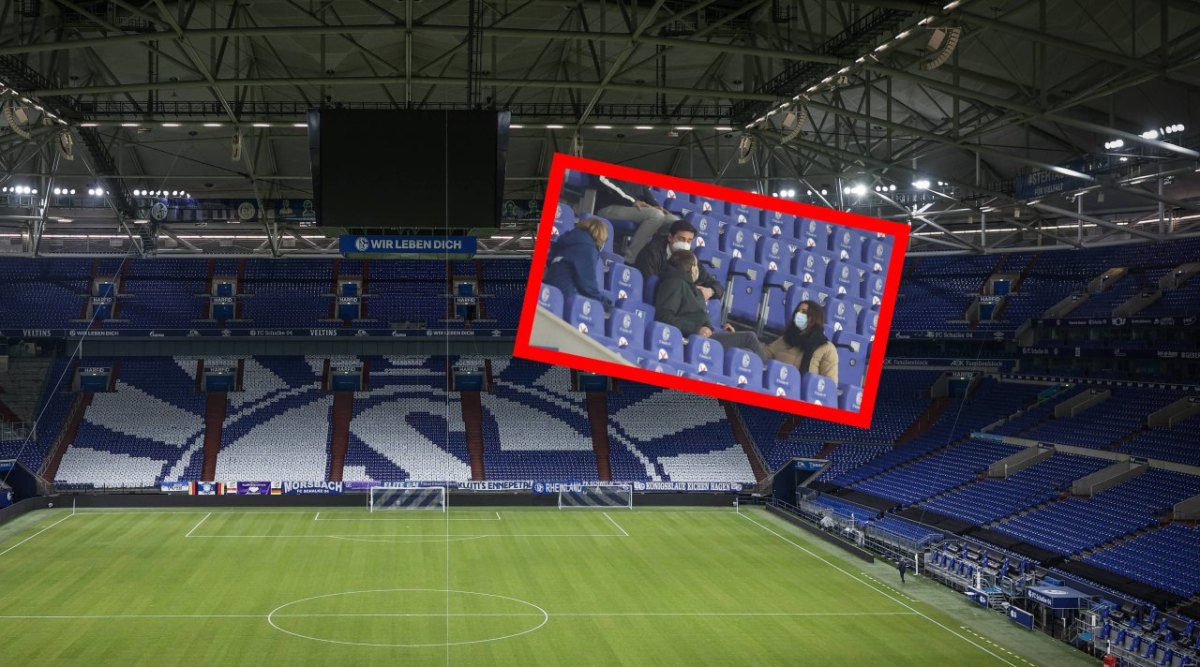 schalke ulbing.jpg