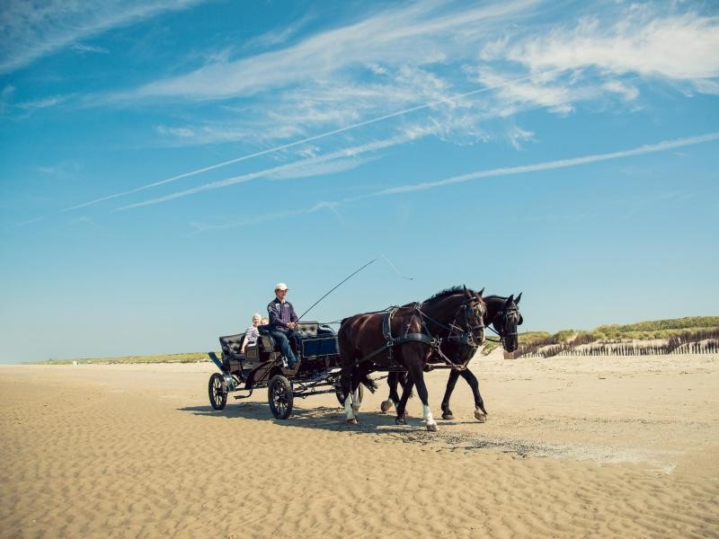 Transportieren auf Juist fast alles: Pferdefuhrwerke spielen auf der Insel eine große Rolle.