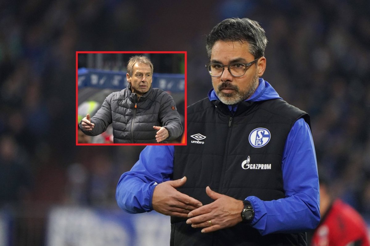 wagnerklinsmannfcschalke.jpg