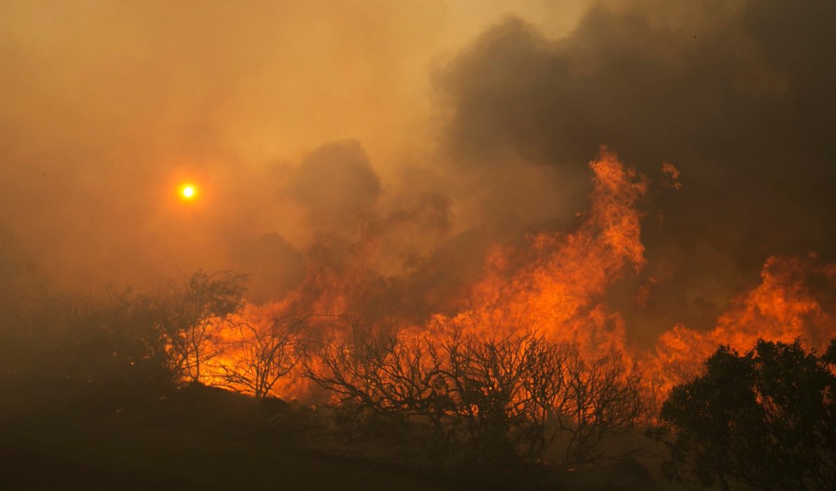 waldbrand kalifornien.jpg