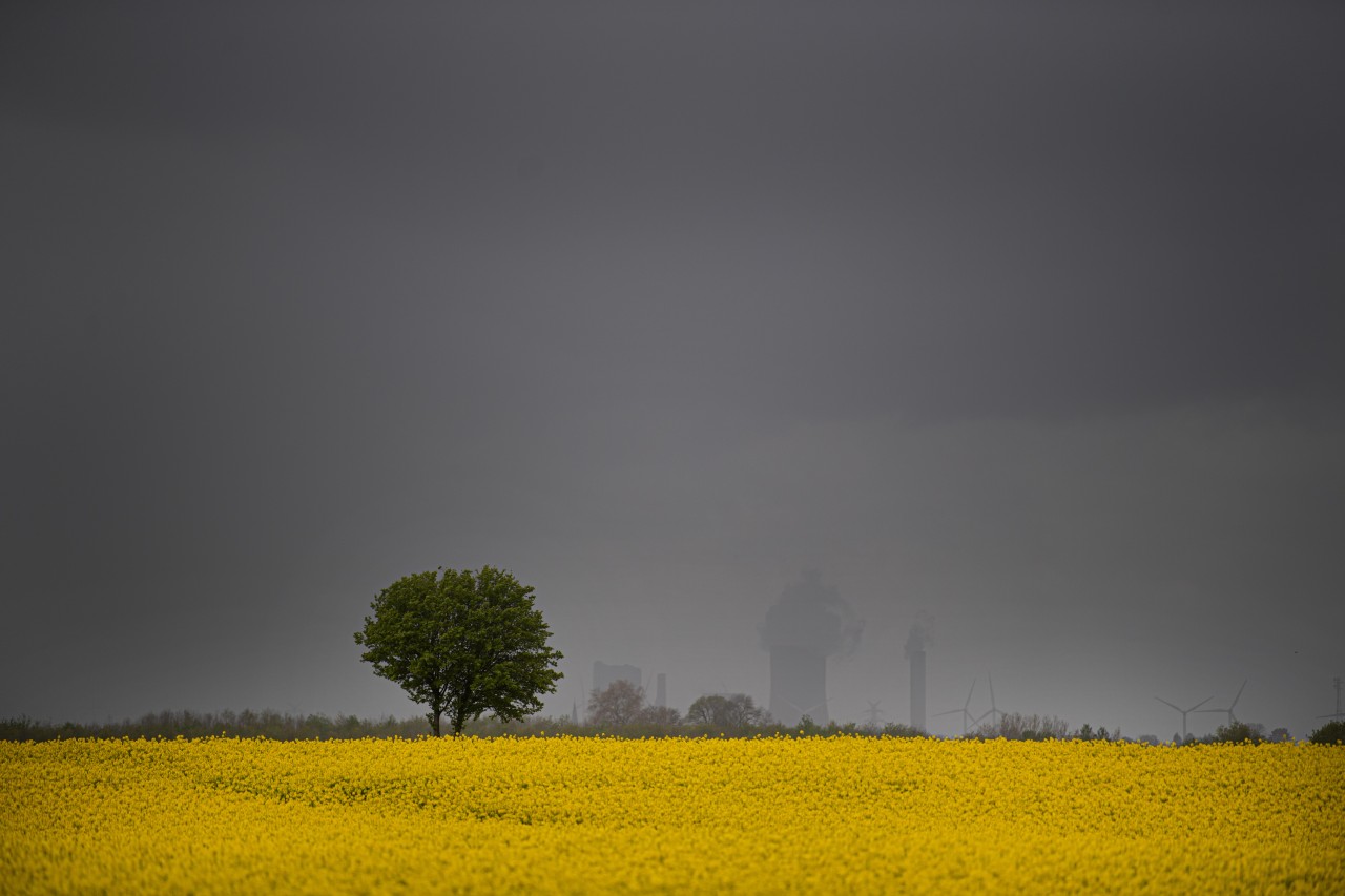 Wetter in NRW: Der Deutsche Wetterdienst warnt weiter vor Sturm und Gewitter. (Symbolbild)