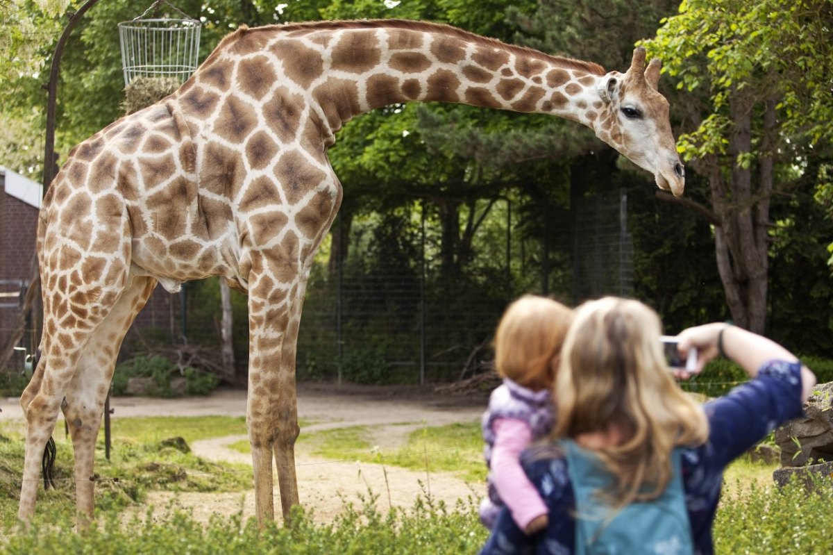 zoo dortmund.jpg