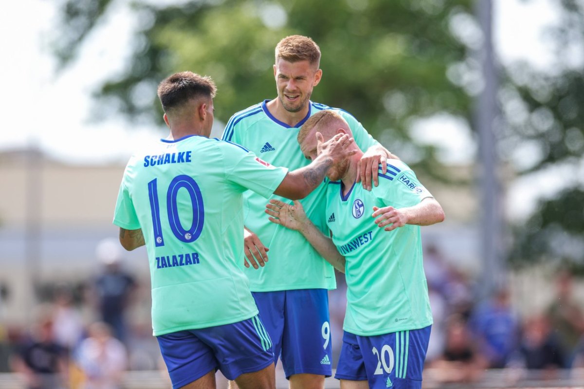 Blau-Weiß Lohne – FC Schalke 04