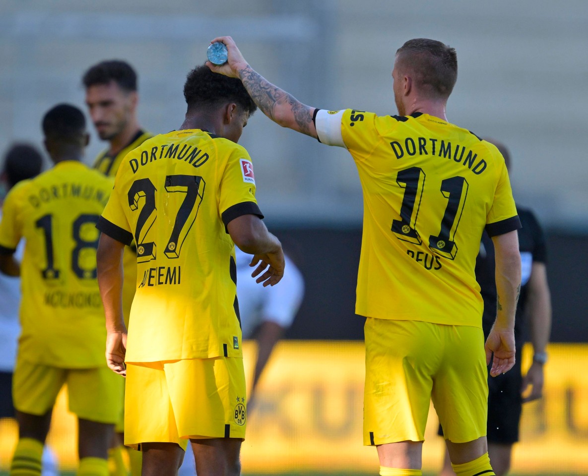 Werden Adeyemi (l.) und Reus (r.) das neue Traumduo bei Borussia Dortmund?