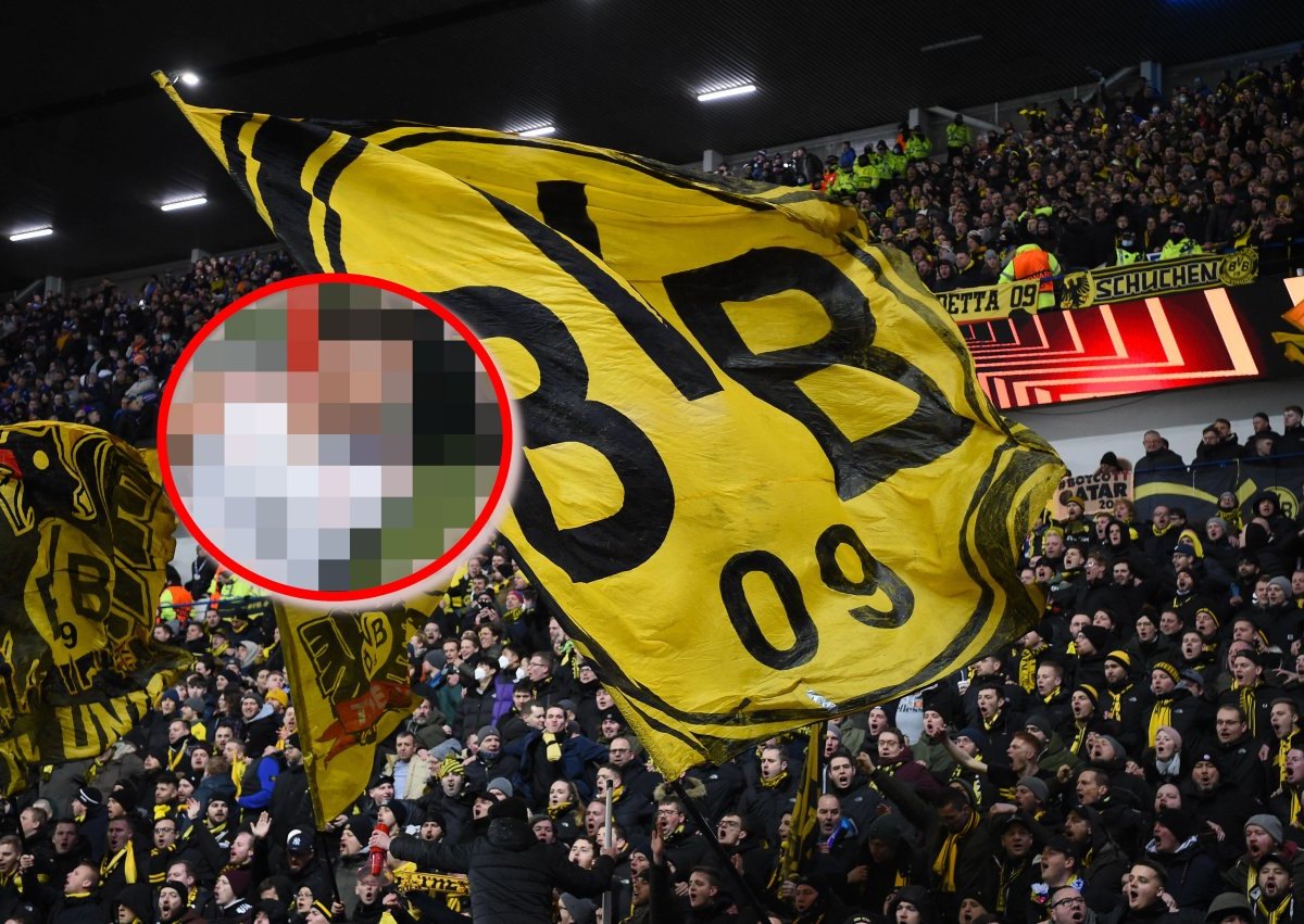 Borussia Dortmund LEwy.jpg