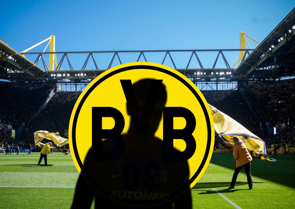 Borussia Dortmund Piatek.jpg