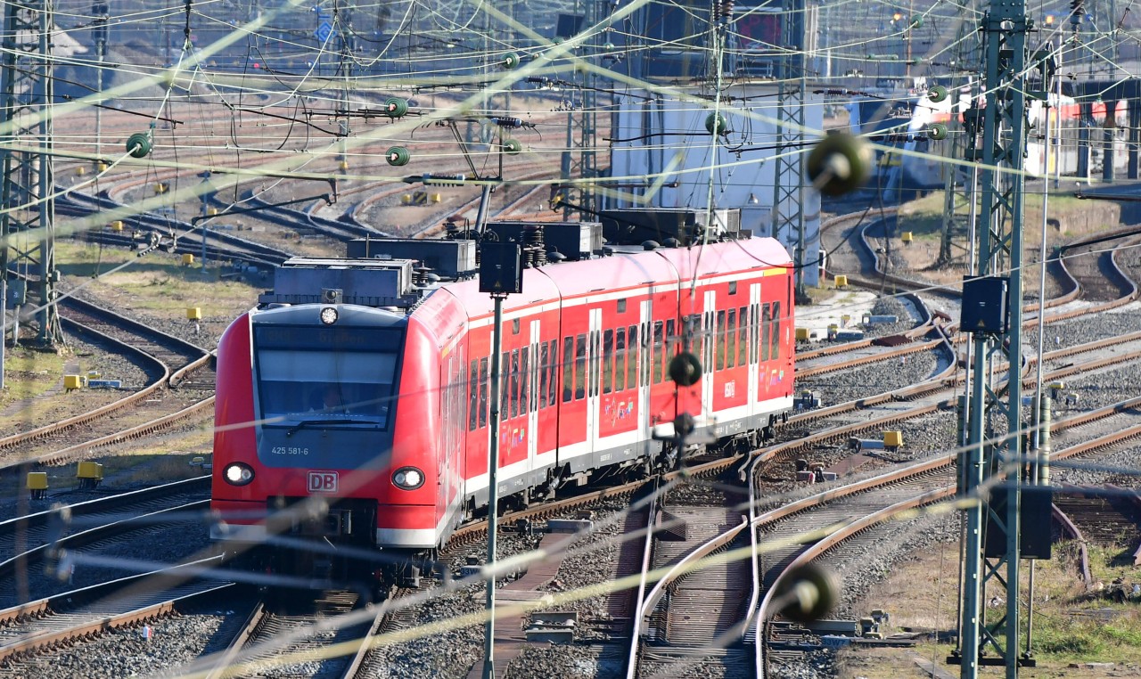 Deutsche Bahn in NRW: Am Donnerstag ist ein Zug mit mehreren Kühen kollidiert. (Symbolfoto)