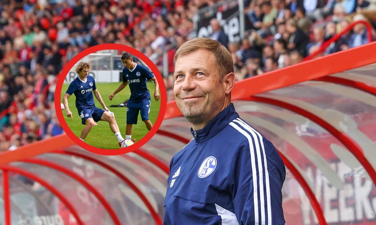 FC Schalke 04 Král.jpg